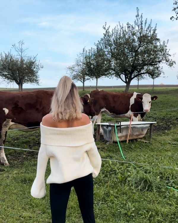 Schulterfreier Strickpullover Mina