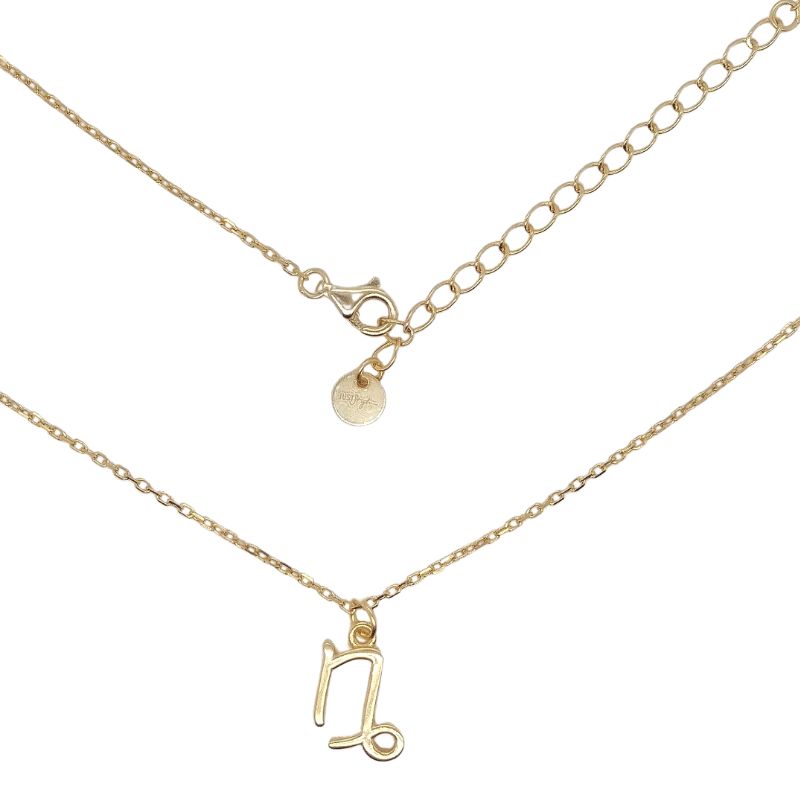 Sterling Silber 925 Steinbock Sternzeichen Kette