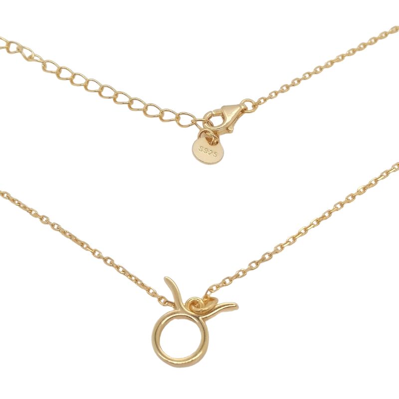 Sternzeichen Halskette Stier