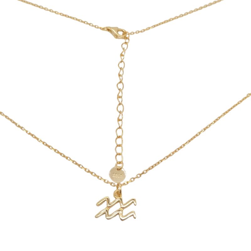 Wassermann Sternzeichen Kette