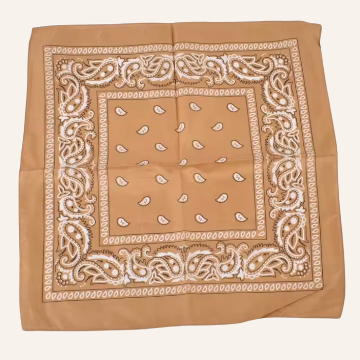 Classic Bandana Paisley Vibe