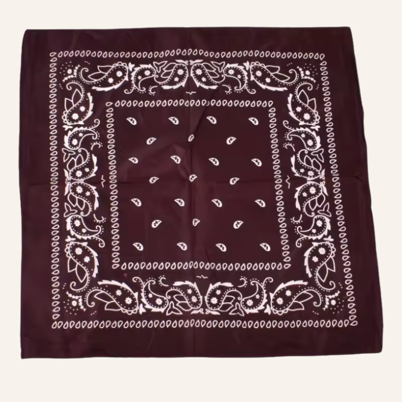 Classic Bandana Paisley Vibe