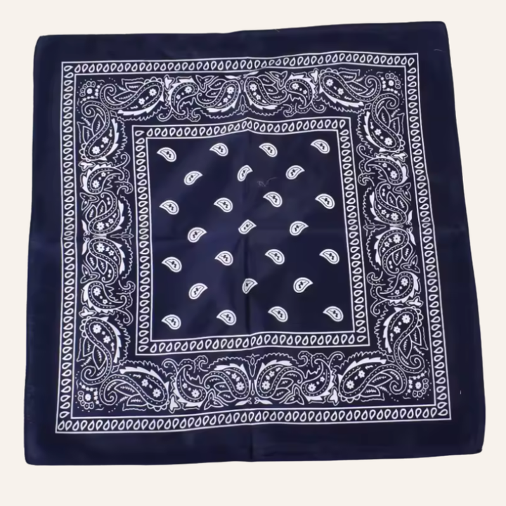 Classic Bandana Paisley Vibe