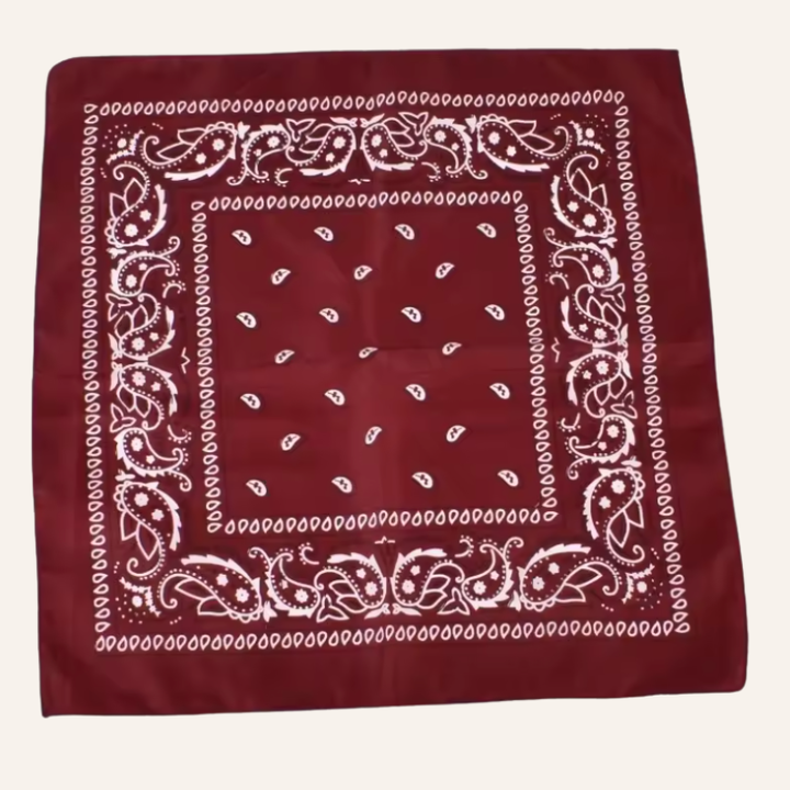 Classic Bandana Paisley Vibe
