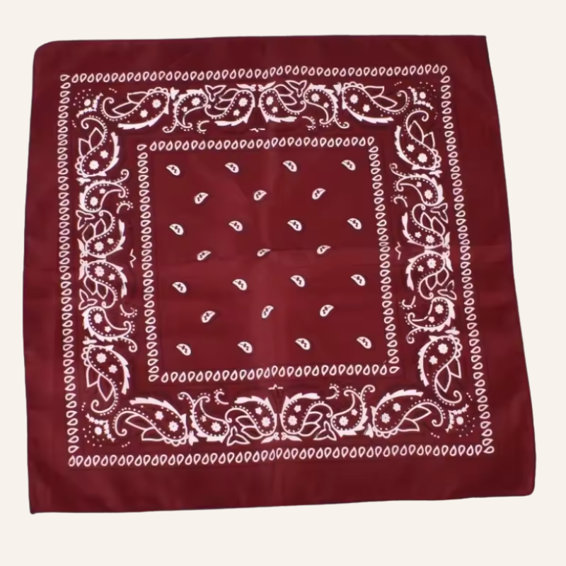 Classic Bandana Paisley Vibe