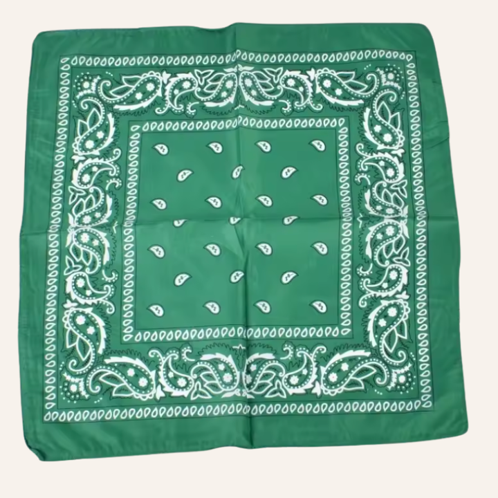 Classic Bandana Paisley Vibe
