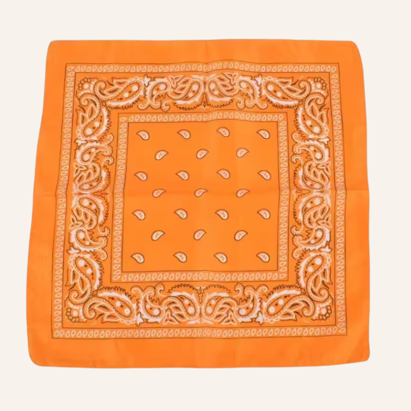 Classic Bandana Paisley Vibe