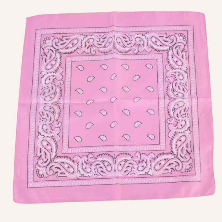 Classic Bandana Paisley Vibe