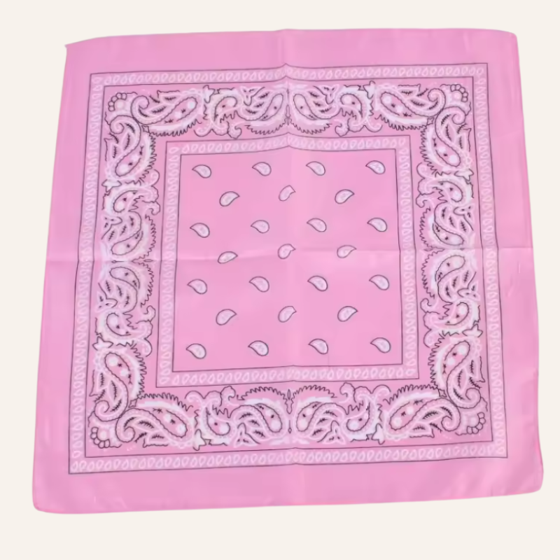 Classic Bandana Paisley Vibe