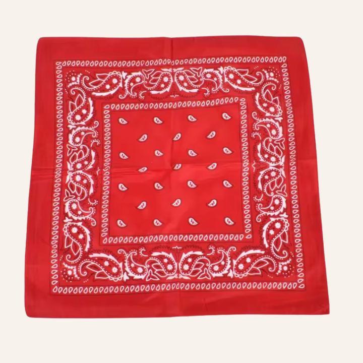 Classic Bandana Paisley Vibe