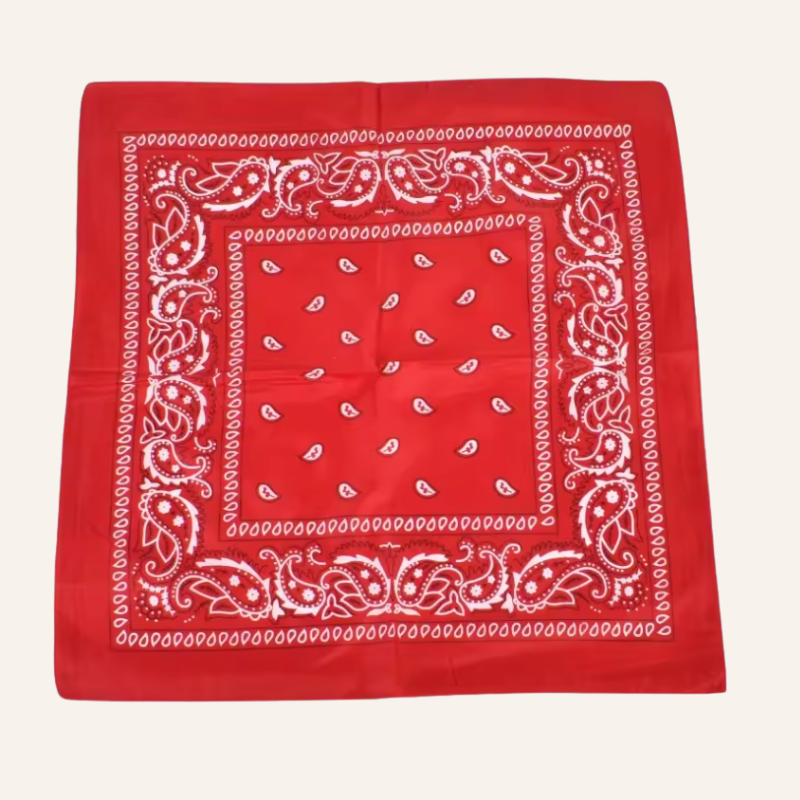 Classic Bandana Paisley Vibe
