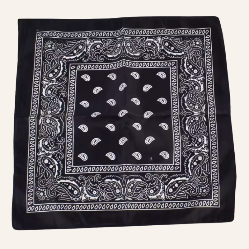 Classic Bandana Paisley Vibe