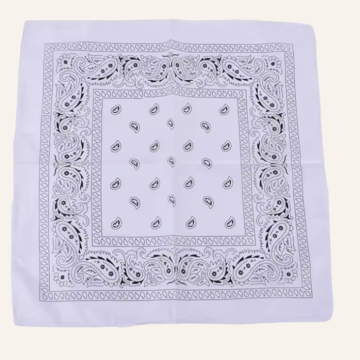 Classic Bandana Paisley Vibe