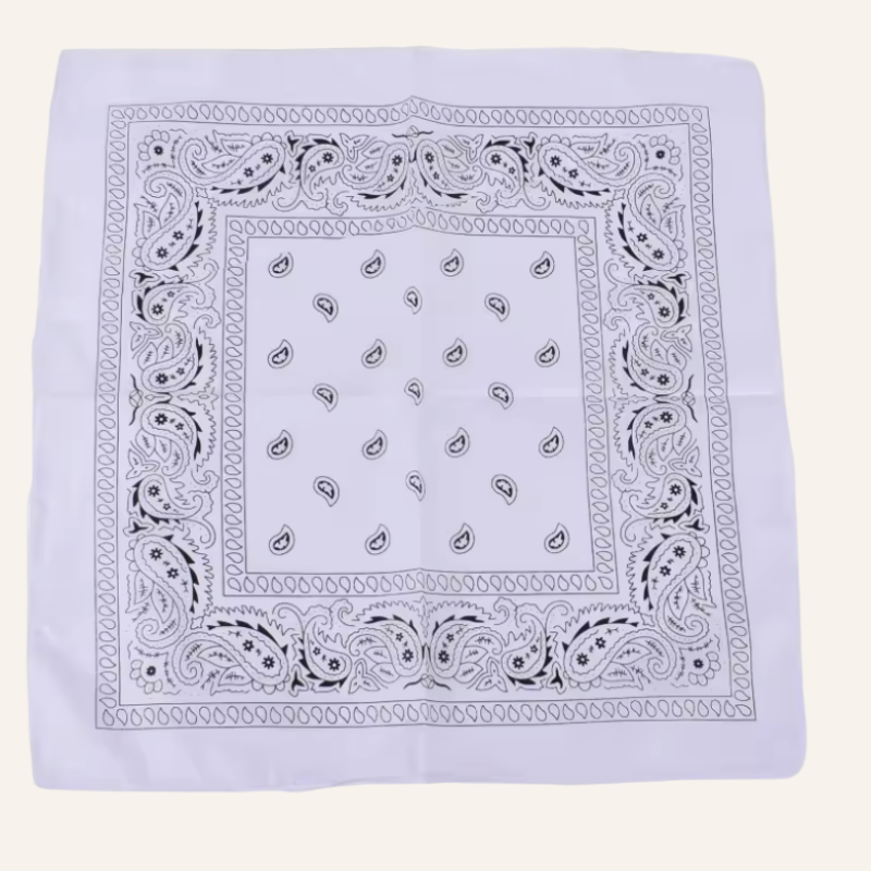 Classic Bandana Paisley Vibe