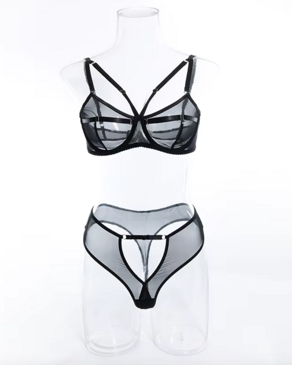 Lingerie mit Cut-Out Slip, Mesh und BH - Mesh Dessous Set