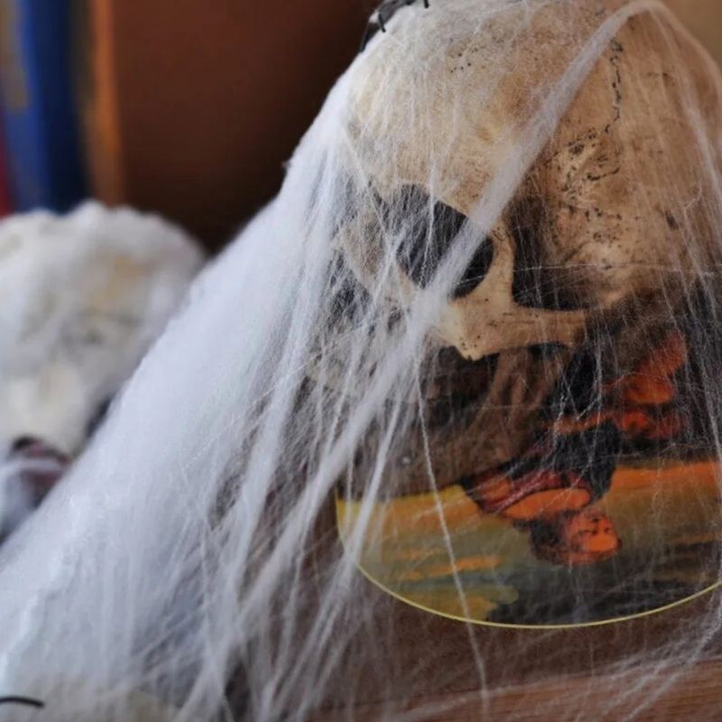 Gruseliges dehnbares Spinnennetz - Halloween Dekoration weisses Spinnennetz mit schwarzen Spinnen 