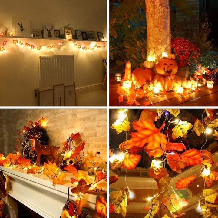 Ahornblatt-Lichterkette als Highlight für Herbstfeste und Halloween-Partys