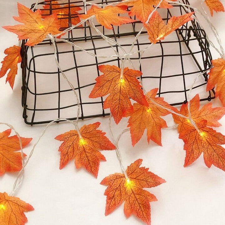Atmosphärische Herbst-Lichterkette mit detailgetreuen Ahornblättern.