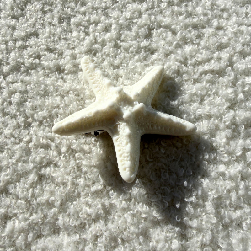 weisser Seestern Haarspange für perfekte Strand Boho Frisur 