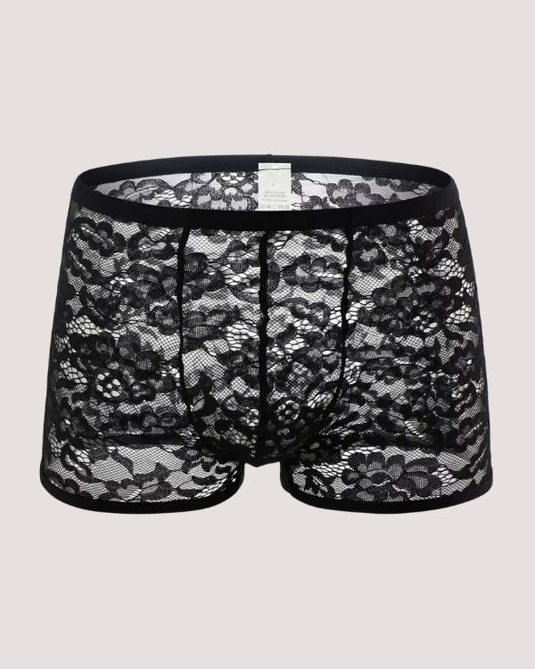 schwarze Herren Spitzen Boxershorts transparent - Heisse Männer Dessous 