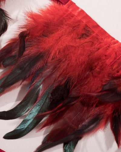 Erotisches Dessous aus Federn Taillen Gurt in schwarz rot gemischt