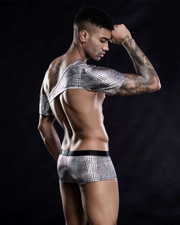 Erotisches Sexy Herren Dessous Set aus silbernen Boxer Unterwaesche und asymmetrischem Top Oberteil